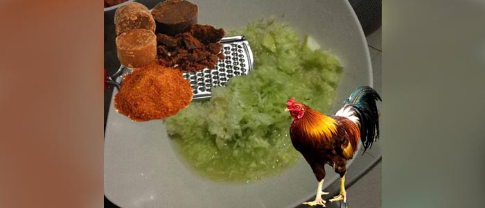 Khasiat Timun Sebagai Stamina Sabung Ayam Bangkok